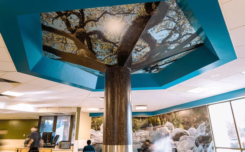 Kaweah Health Skilled Nursing Center photo 3