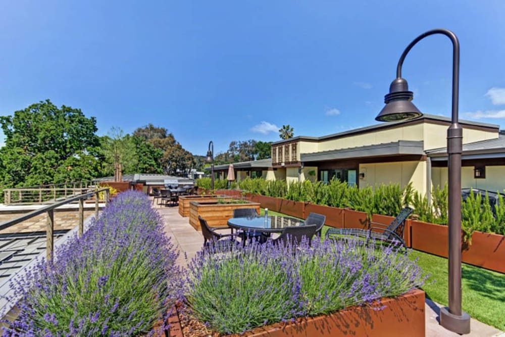 Merrill Gardens at Lafayette photo 3