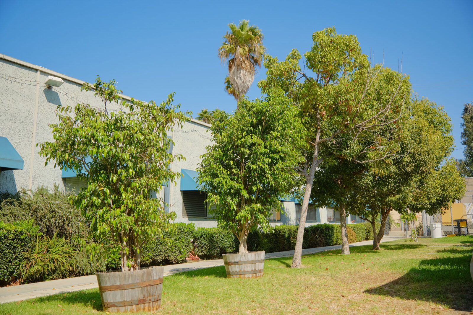 Lawndale Care Center photo 5