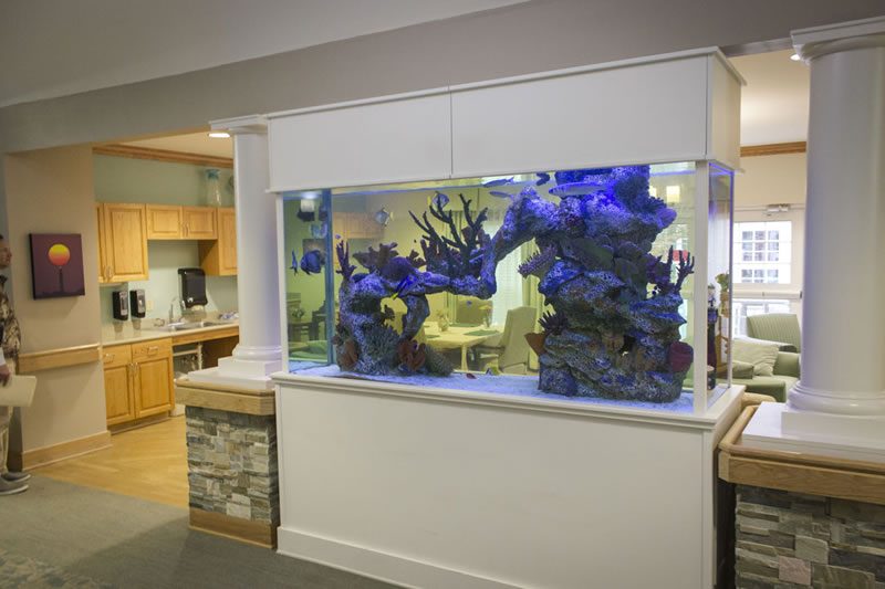 Woodbury Wellness Center, Inc. photo 1
