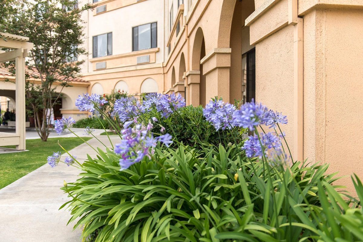 ManorCare Health Services-Fountain Valley photo 4