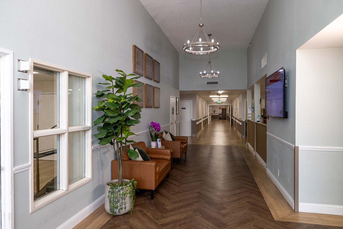 Oak Ridge Healthcare Center photo 2