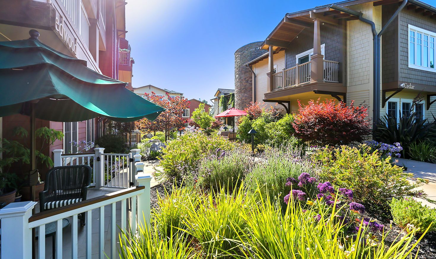 The Terraces at Los Altos photo 2