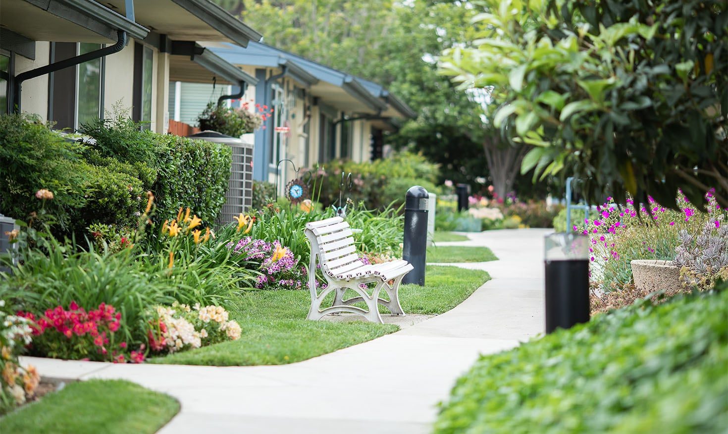 Redwood Terrace photo 5