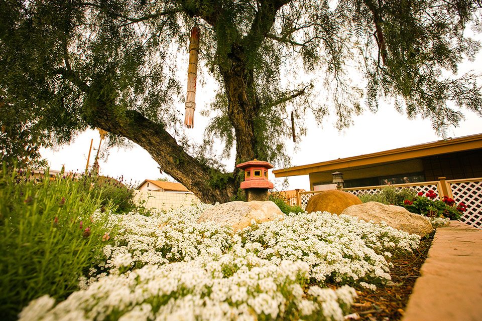 San Gabriel Conv Center photo 3
