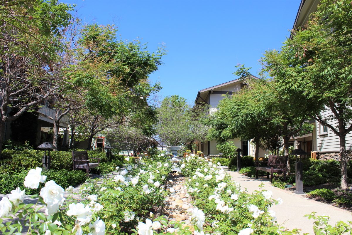 Santa Teresita Manor photo 3