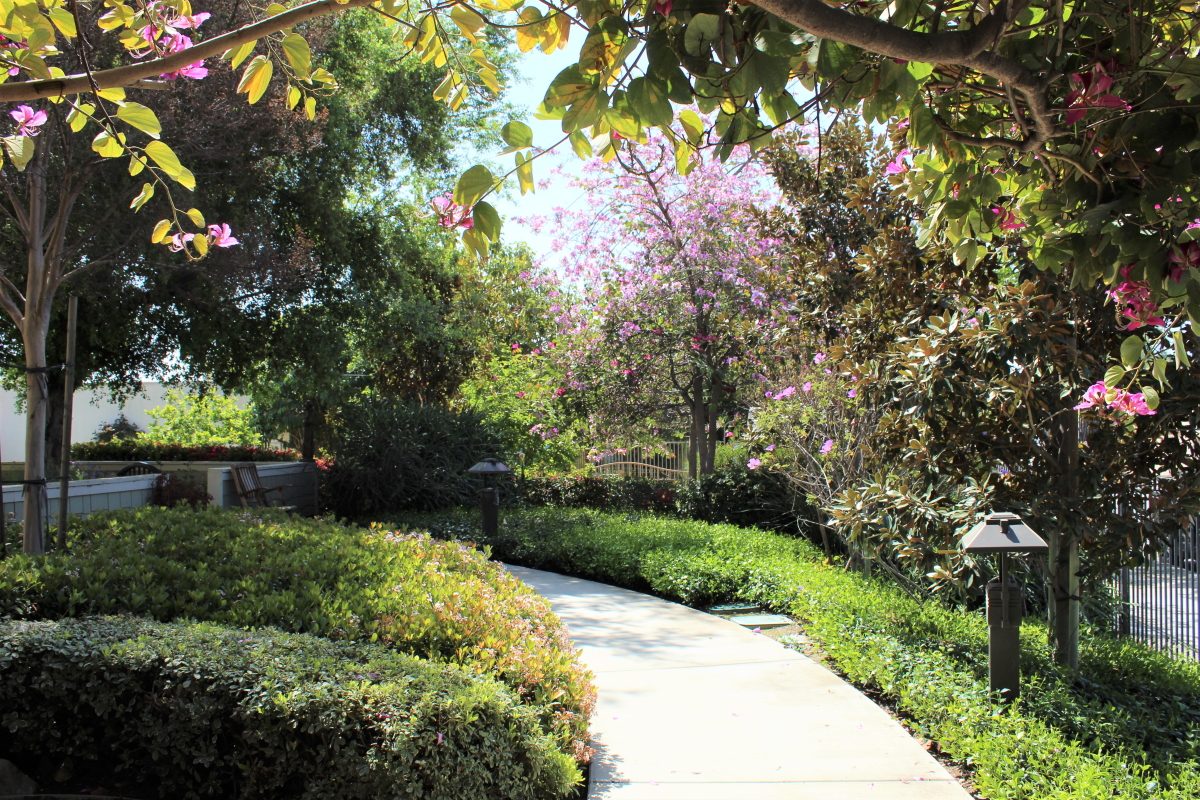 Santa Teresita Manor photo 5