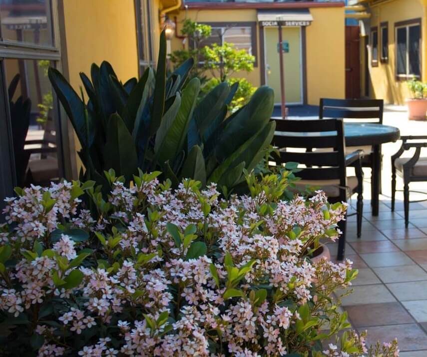 Studio City Rehabilitation Cen photo 5
