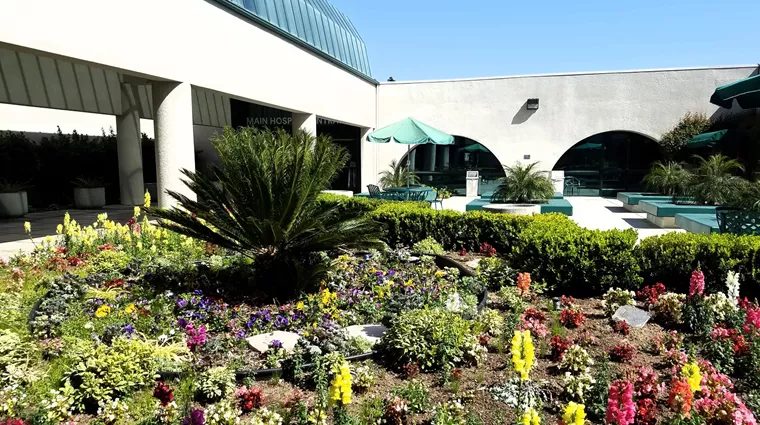 Tustin Hospital & Medical Center D/P SNF
