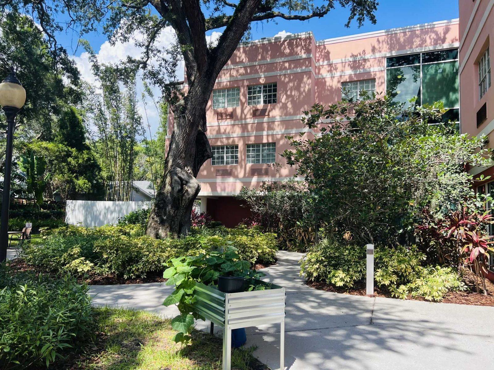 Bayshore Pointe Nursing and Rehab Center photo 1