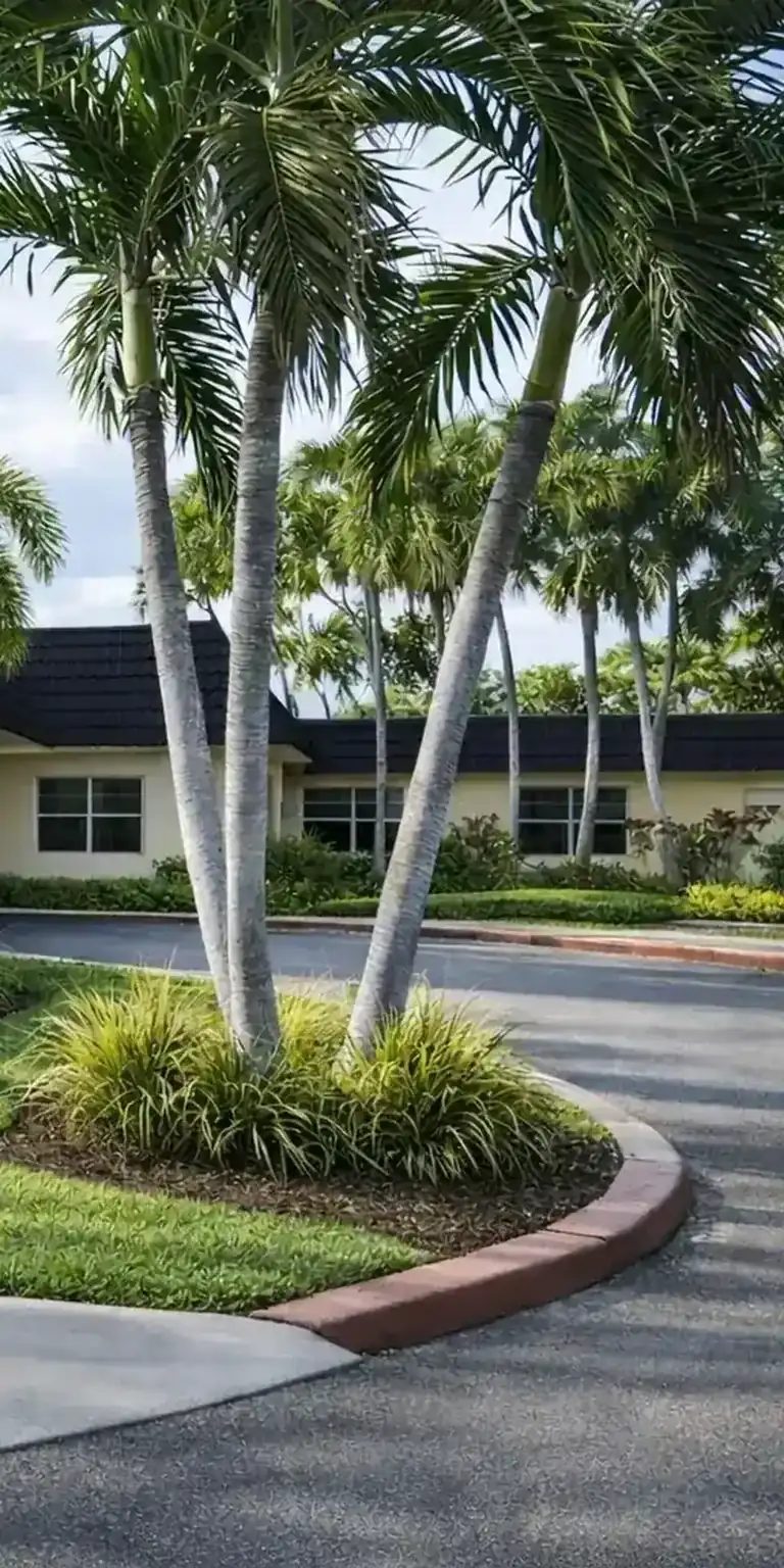 Palms Care Center and Rehab