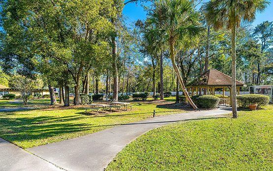 Riverwood Center photo 3
