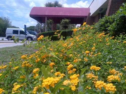 Abercorn Rehabilitation Center photo 3