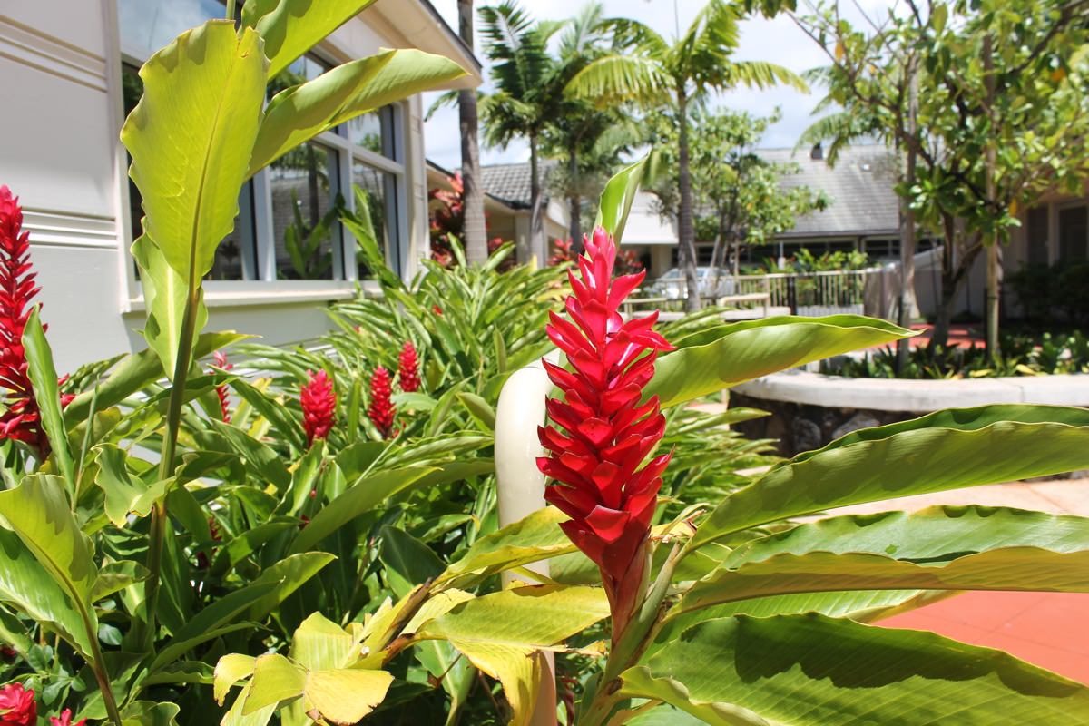 Maunalani Nursing Center photo 4