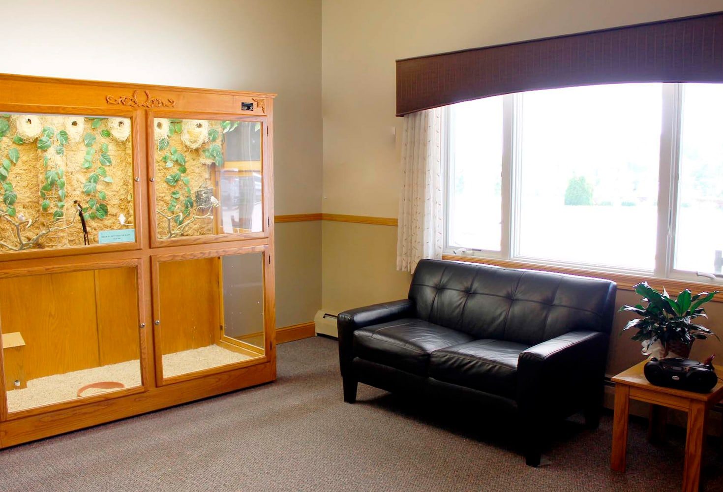 Accura Healthcare of Cascade LLC photo 3