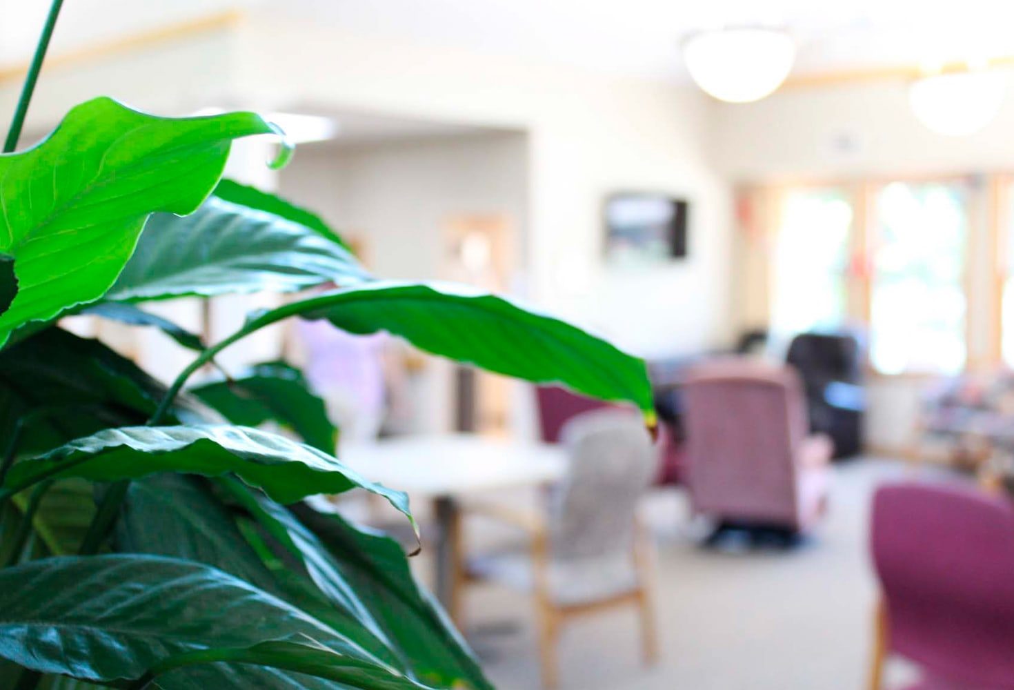 Accura Healthcare of Cascade LLC photo 4