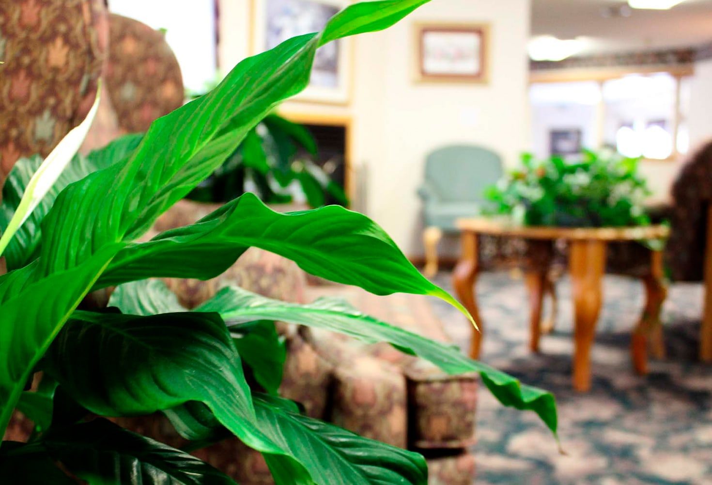 Shell Rock Healthcare Center photo 2
