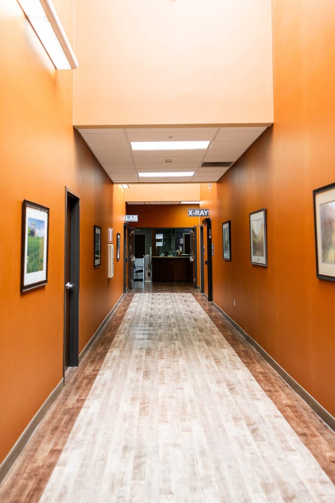 Countryside Care & Rehabilitation photo 4