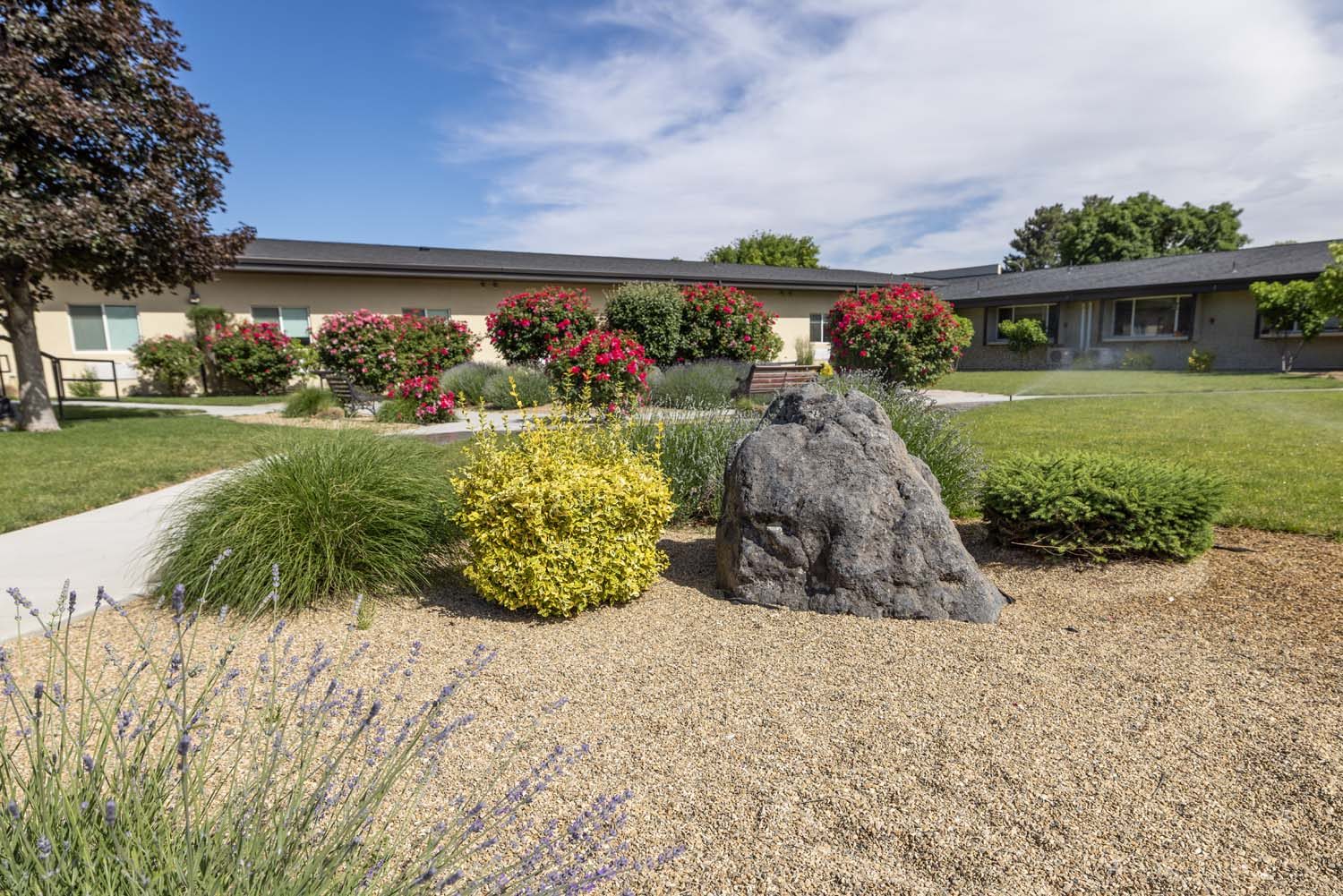 Meadow View Nursing and Rehabilitation photo 3