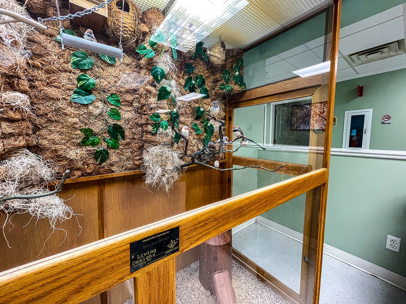 Beecher Manor Nrsg & Rehab Center photo 4