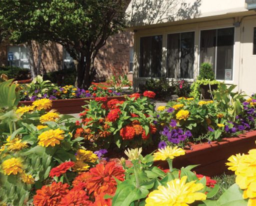 Forest City Rehab & Nrsg Ctr