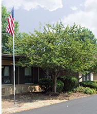 Heritage Manor-Litchfield