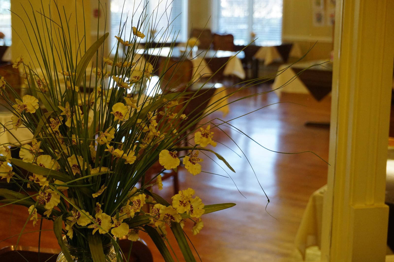 Meadowbrook Manor - Naperville photo 2