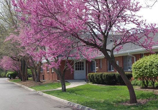 Golden Living Center- Brookview