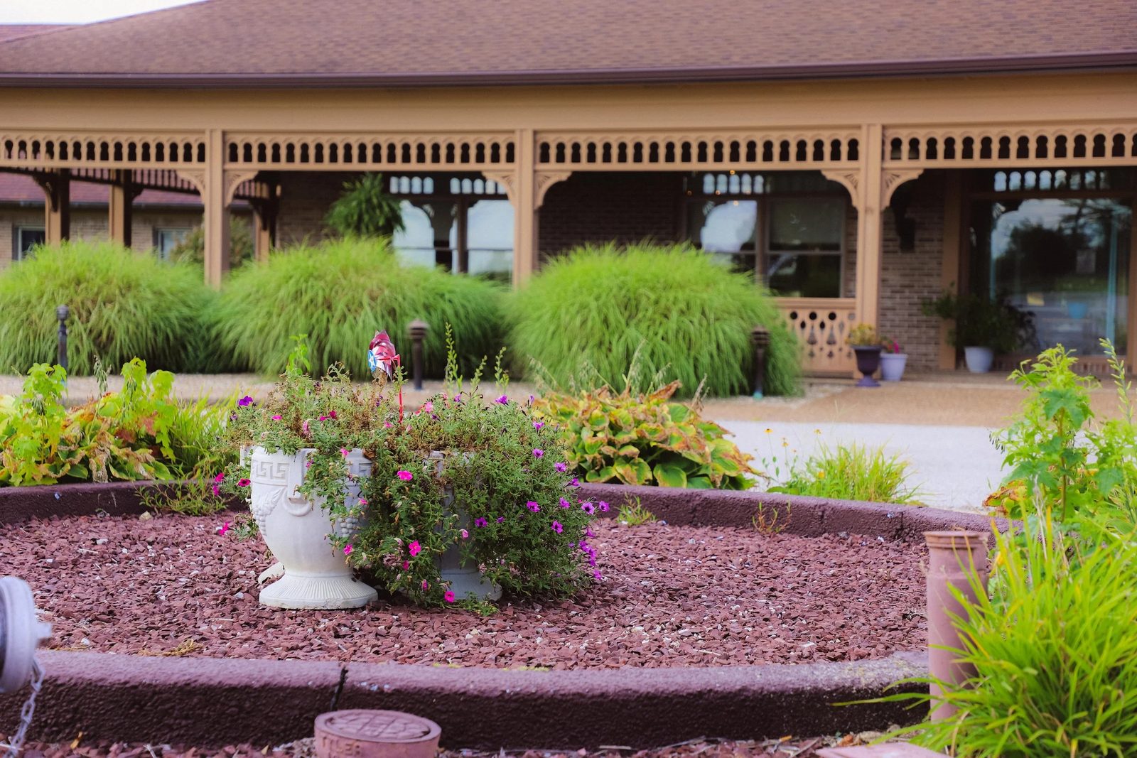 Sycamore Care Strategies photo 1