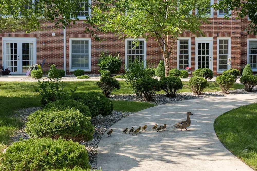 Towne House Retirement Community photo 5