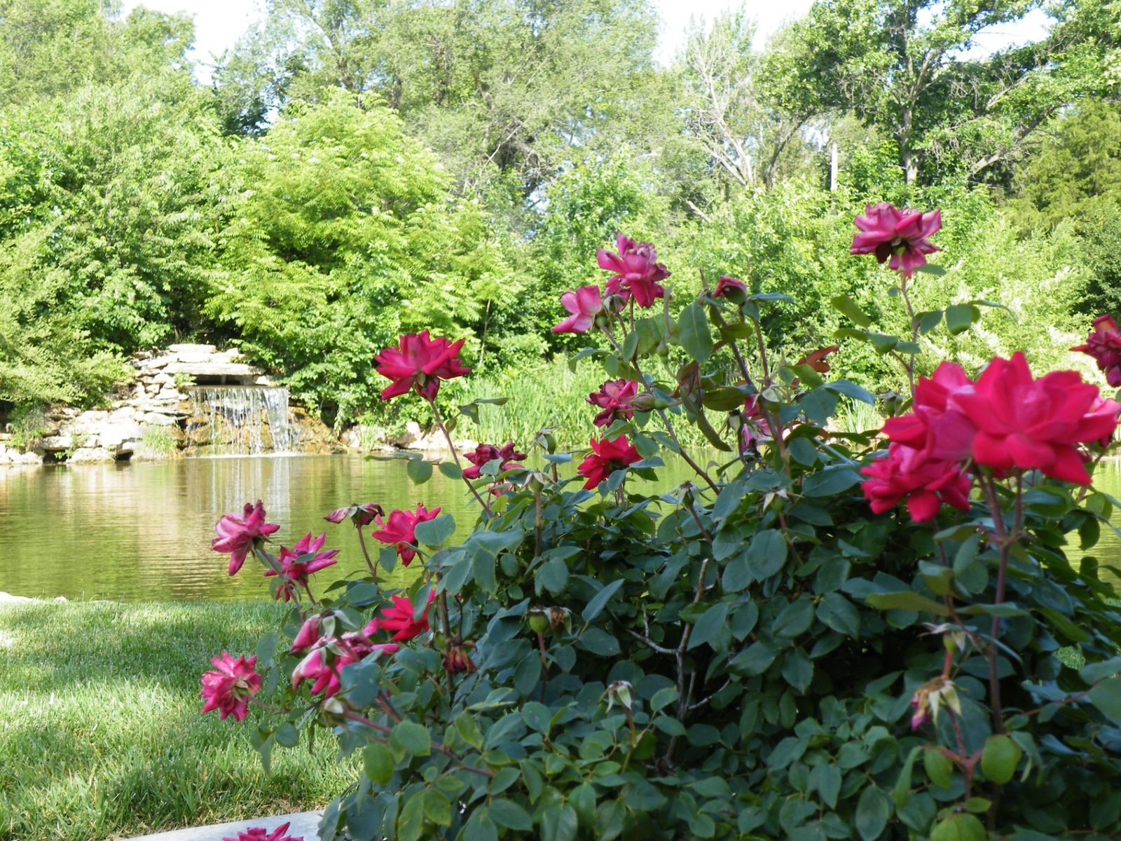 Heritage Grove Estates photo 3
