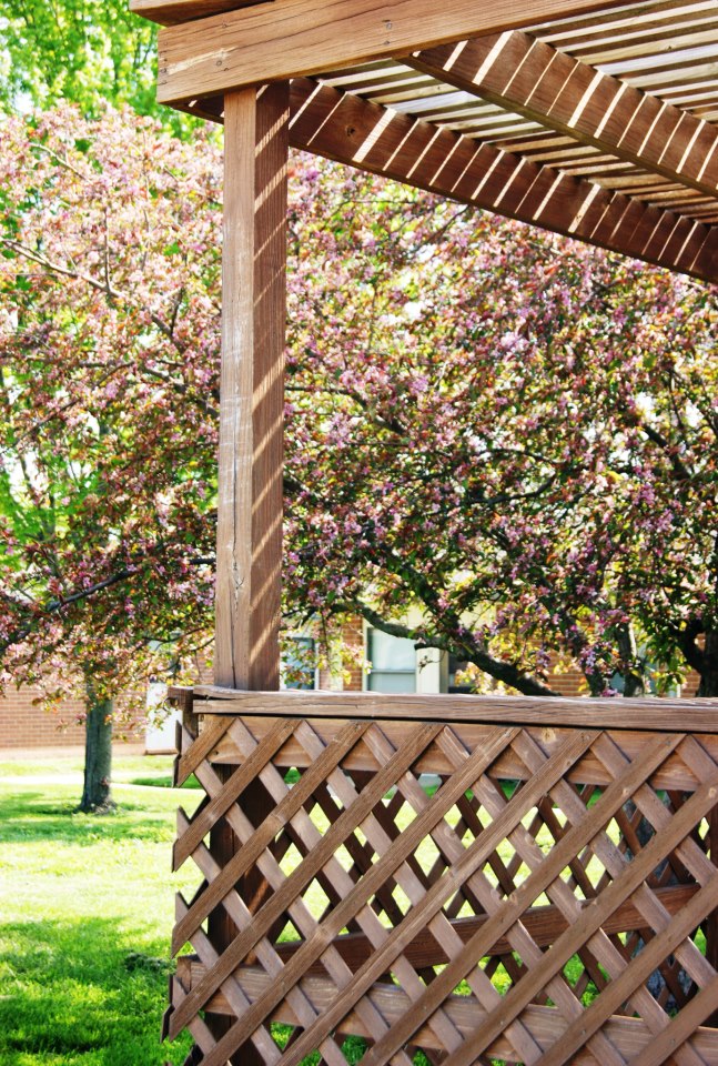 Ottawa Retirement Village photo 2