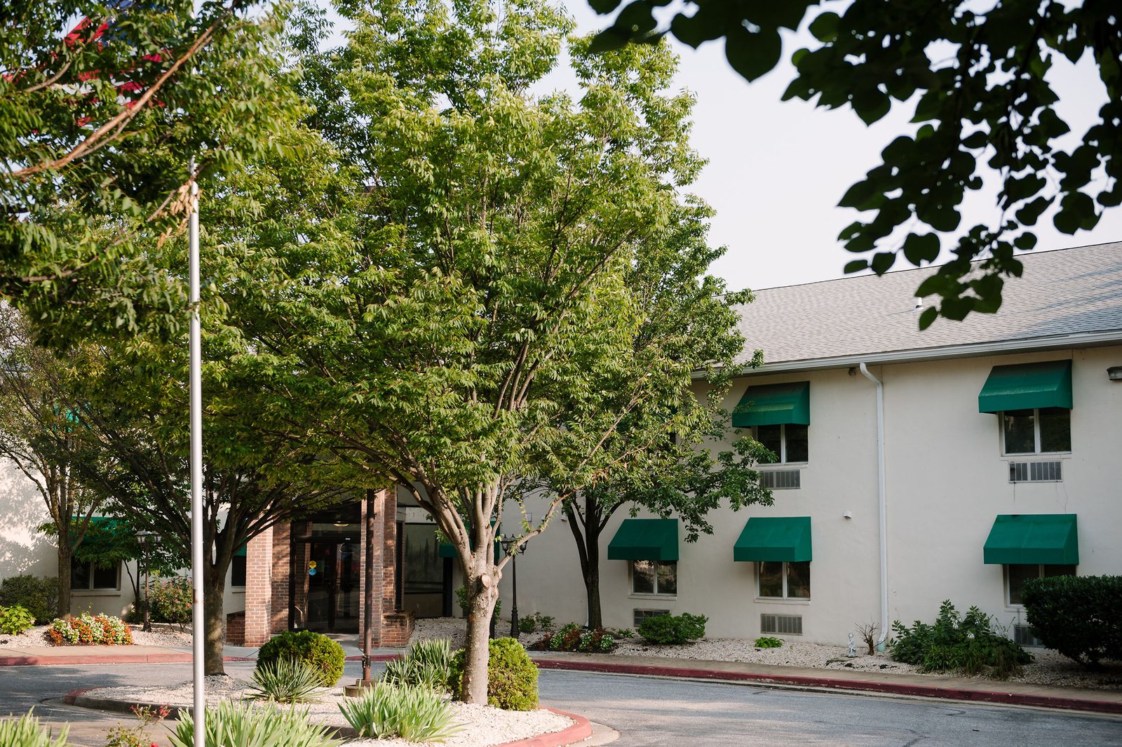 Alice Manor Nursing Home photo 2