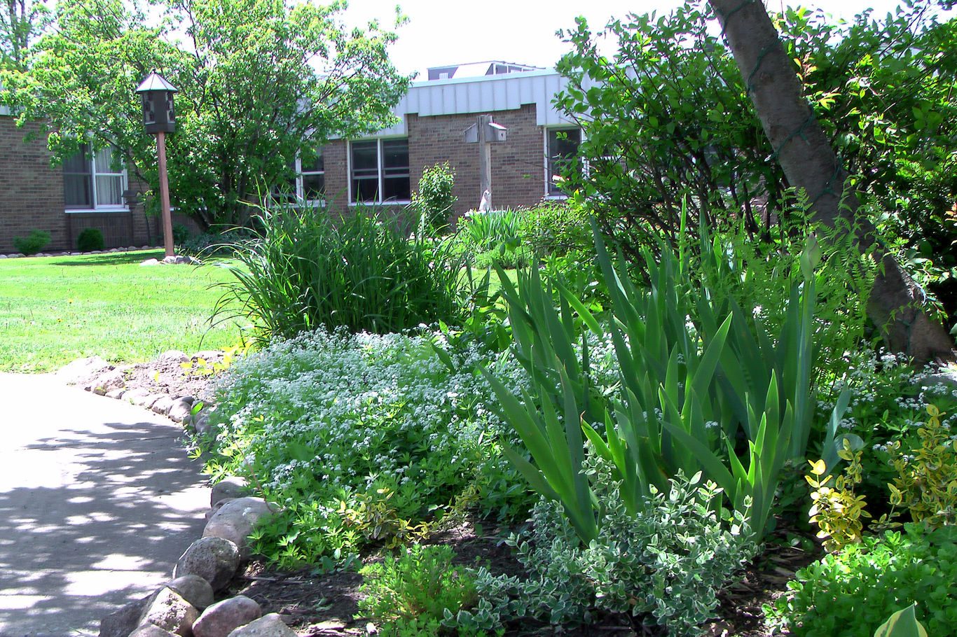 Allegan County Medical Care Facility photo 1