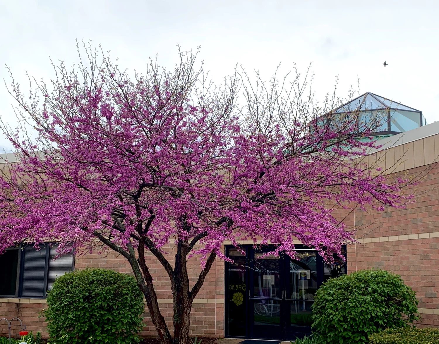Jackson County Medical Care Facility photo 3