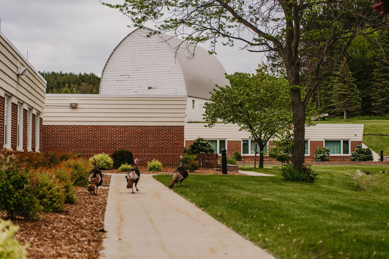 Meadow Brook Medical Care Facility photo 3