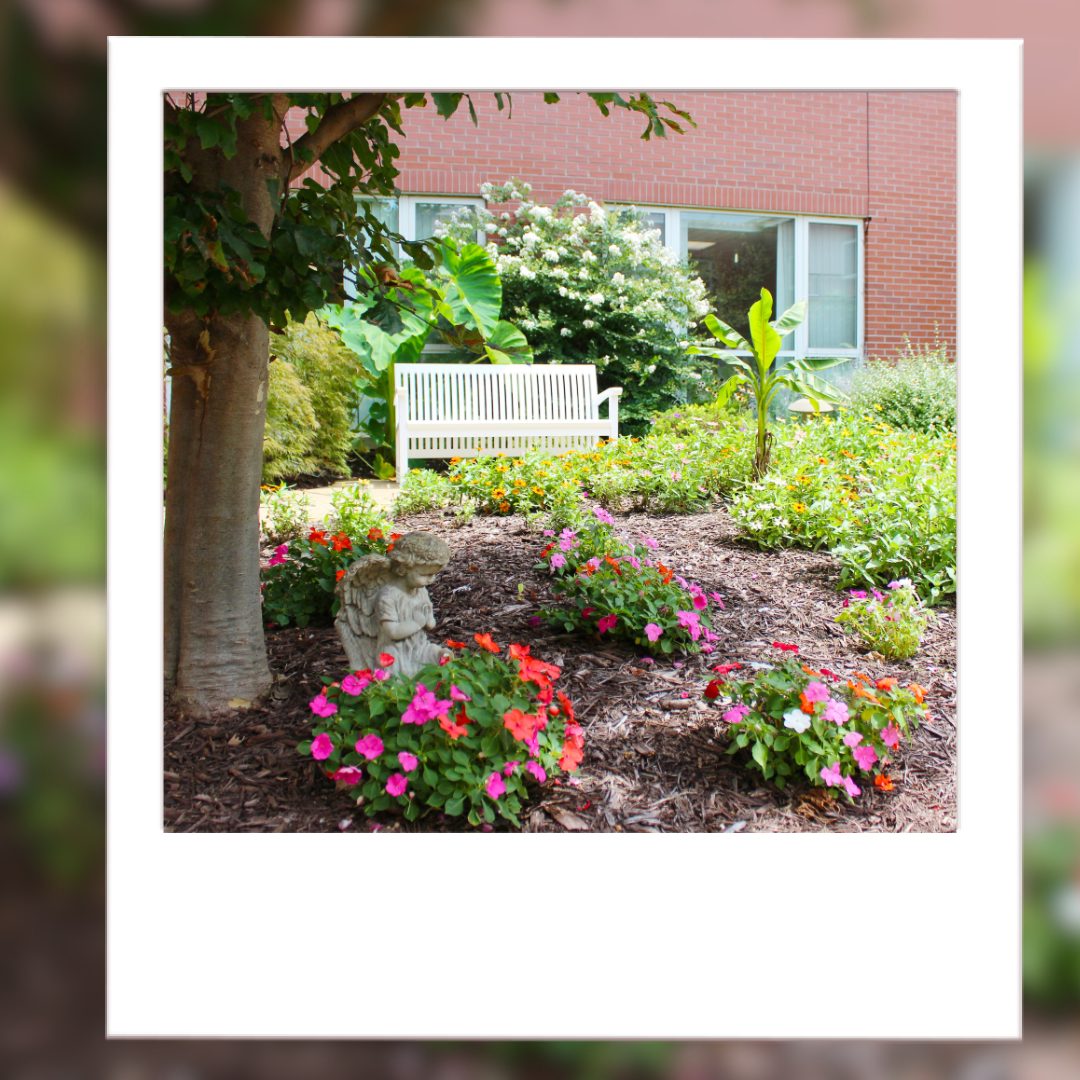Beauvais Manor Healthcare & Rehab Center photo 4