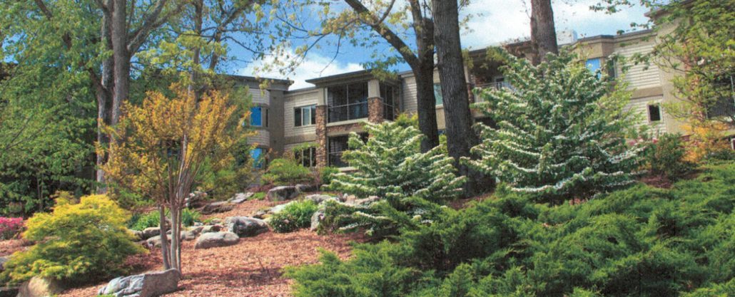 Carolina Village photo 2