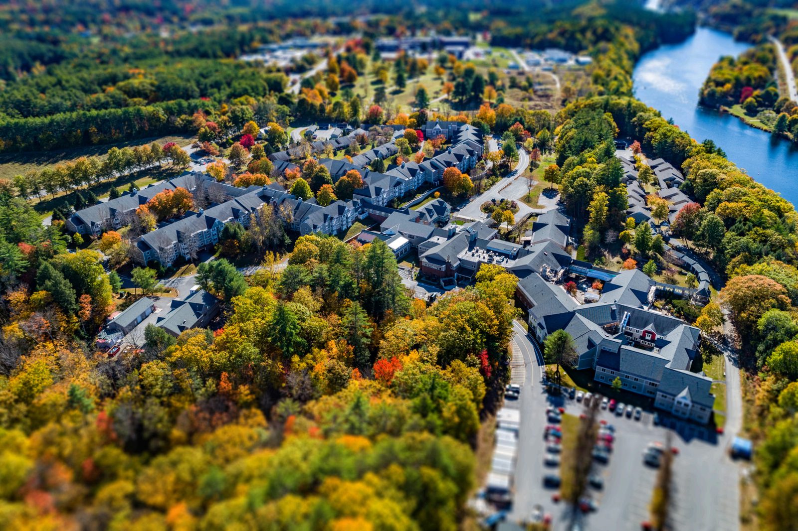 Kendal At Hanover photo 1