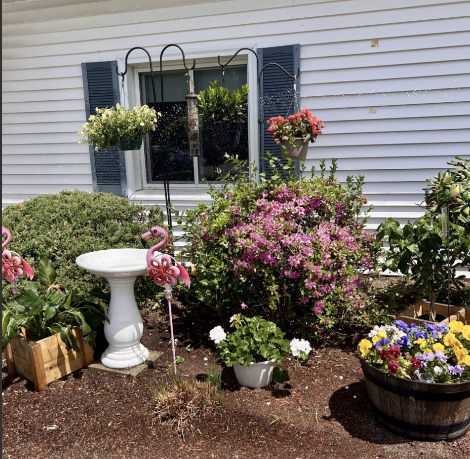 Bedford Nursing & Rehabilitation Center photo 4