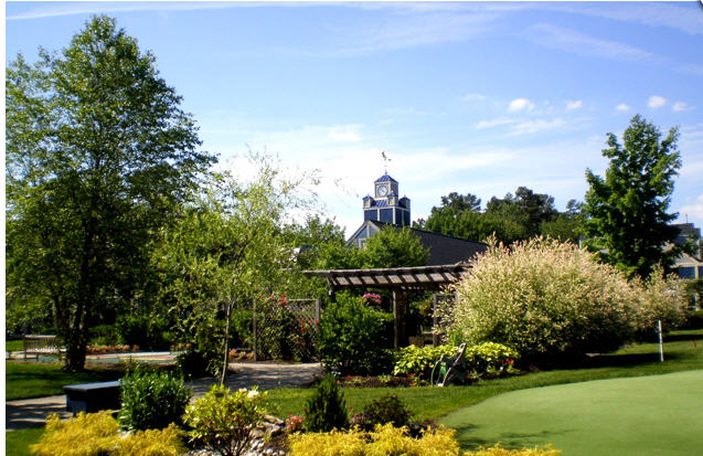 Harrogate photo 1