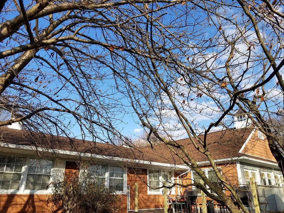 Little Brook Nursing And Convalescent Home photo 2