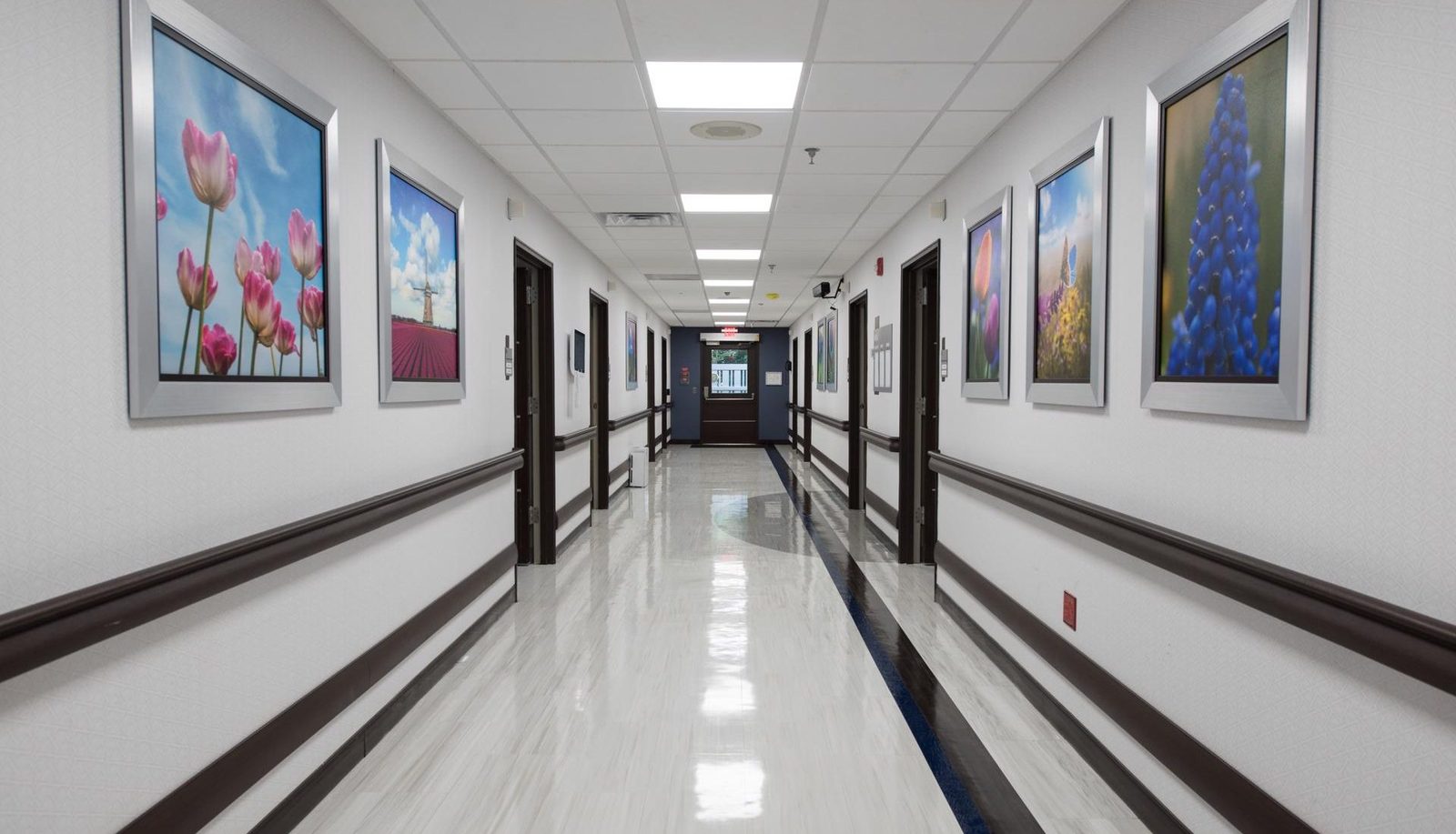 Laurel Manor Healthcare and Rehabilitation Center photo 7