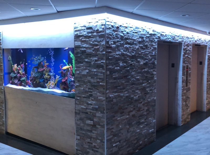Morris Park Nursing And Rehab Center photo 3