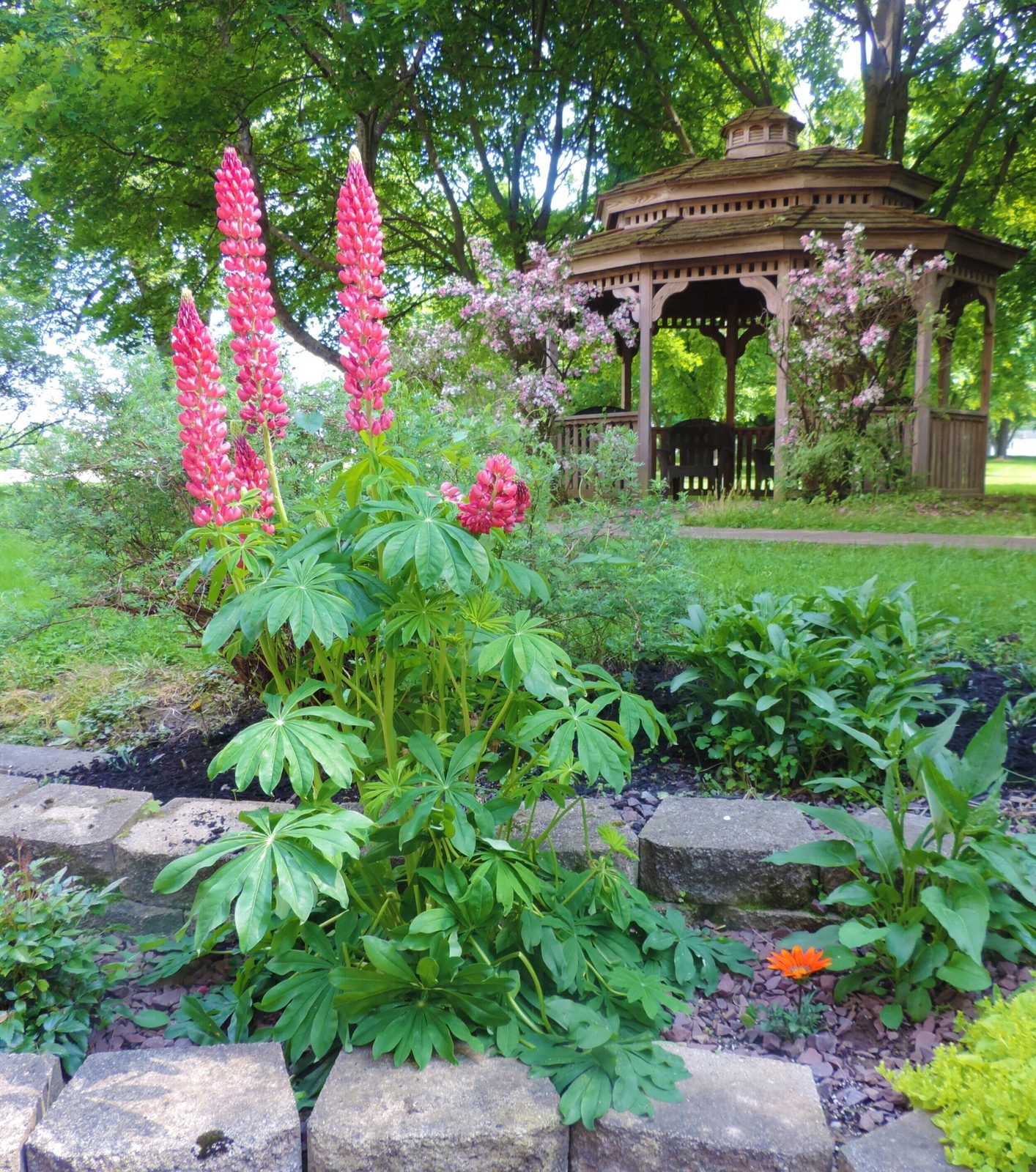 Mount View Assisted Living photo 2