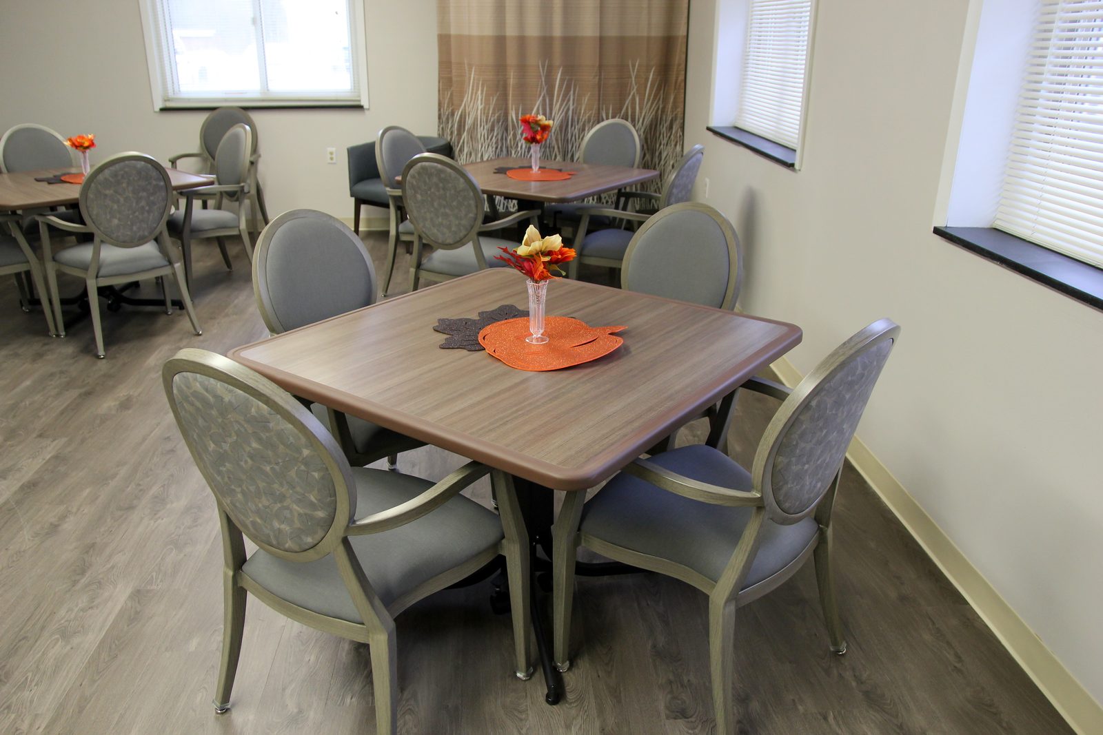 Newfane Rehab And Health Care Center Corp. photo 3