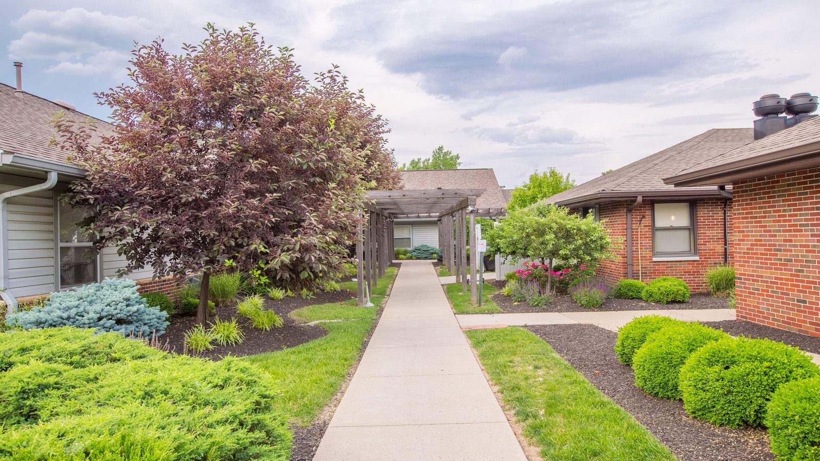 Glen Meadows photo 1