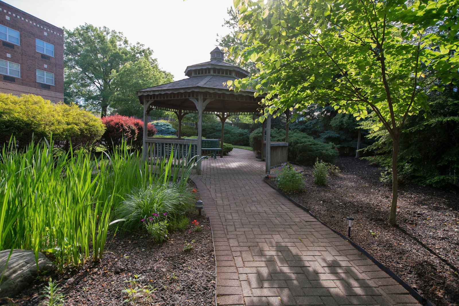 Terrace View Gardens 1 photo 2