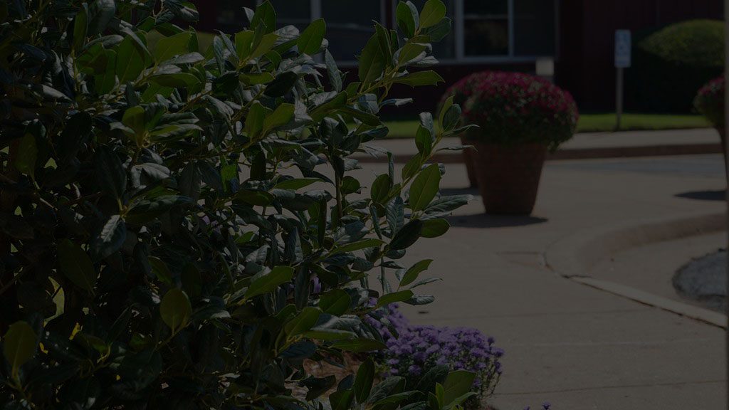 Willow Creek Health Care photo 5