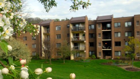 Friendship Village of South Hills